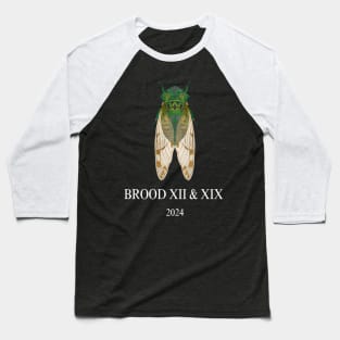 Cicada Brood XIII & XIX 2024 Baseball T-Shirt